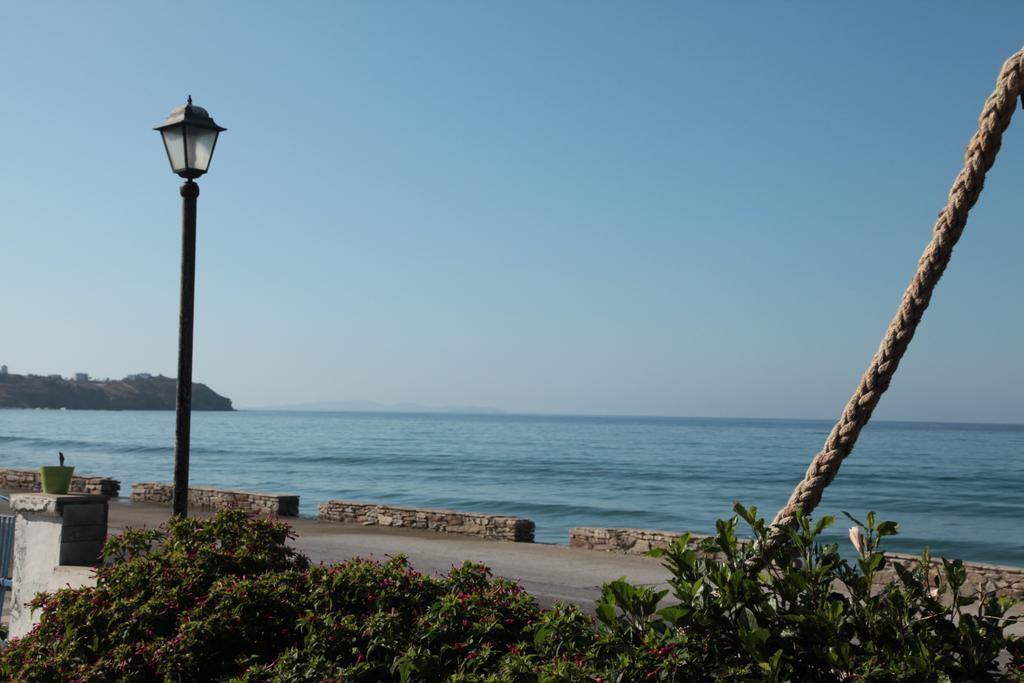 Marika Daire Kionia Oda fotoğraf